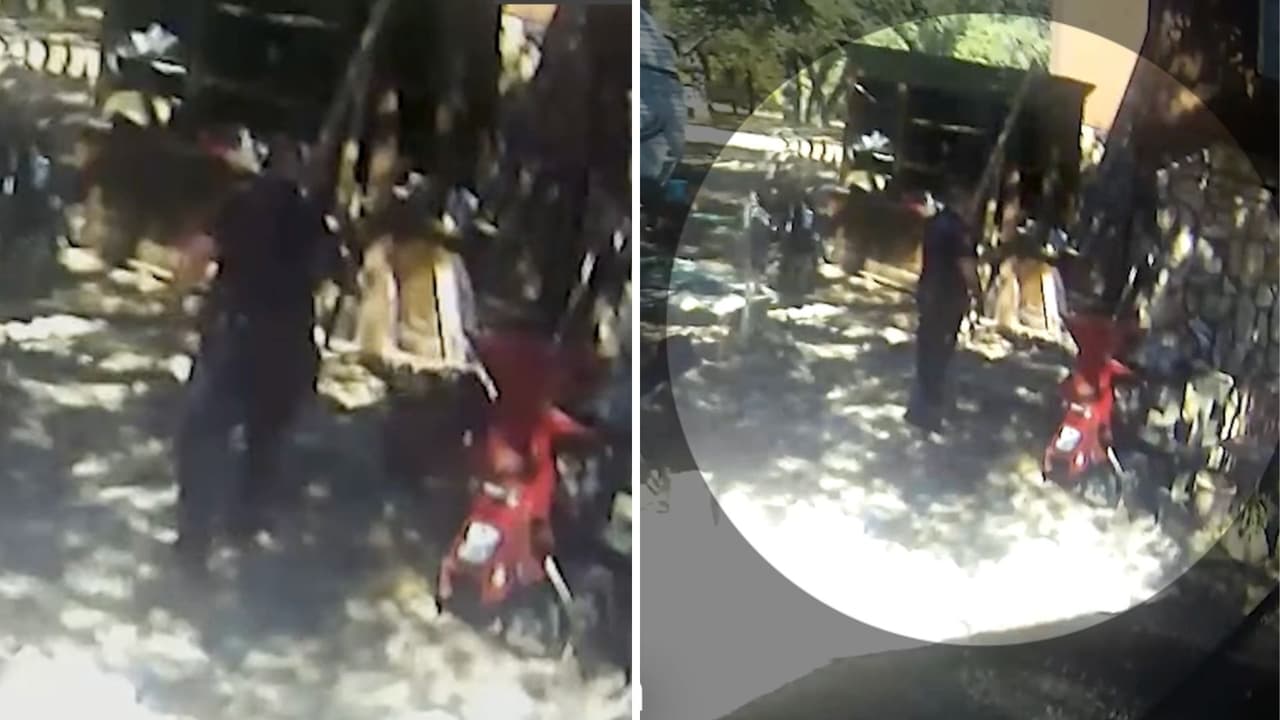 Corrieron hacia él cuando se abrió la puerta: policía mata a dos perros al atender un reporte en una casa