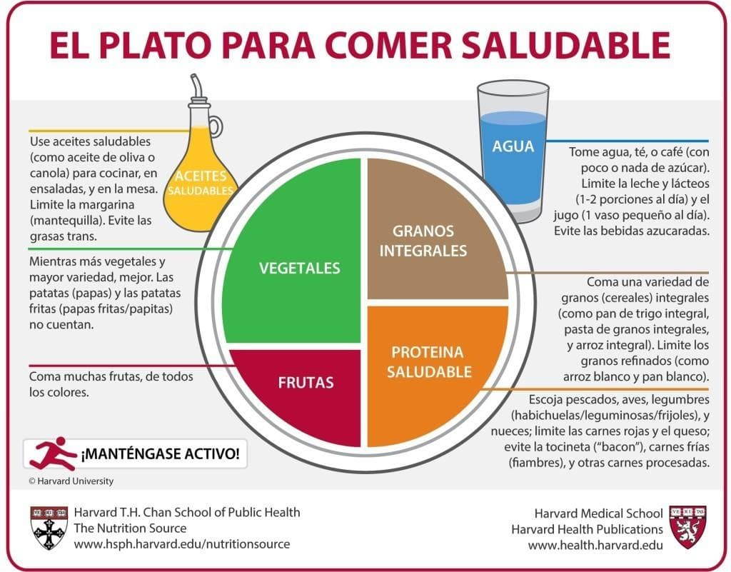 Si te sientes perdido con estas recomendaciones puedes guiarte por 
<a href="https://www.hsph.harvard.edu/nutritionsource/healthy-eating-plate/translations/spanish/">el modelo de plato</a> de la Escuela de Salud Pública de Harvard para oobtener una alimentación equilibrada y saludable.