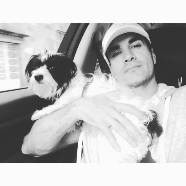 David es un amante de las mascotas, así que cuando sale con sus perros prefiere el look deportivo.