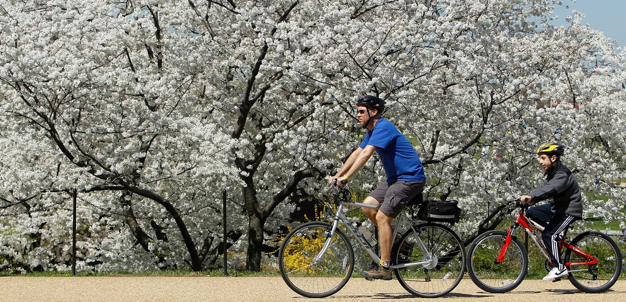Miles de ciclistas están en desventaja legal frente a posibles accidentes
