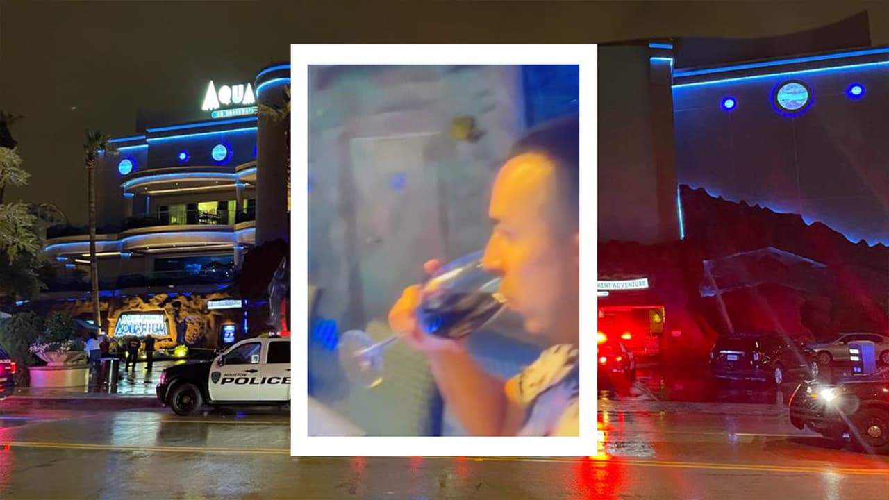 Este video fue grabado en el Acuario de Houston por la esposa de la víctima mortal del tiroteo