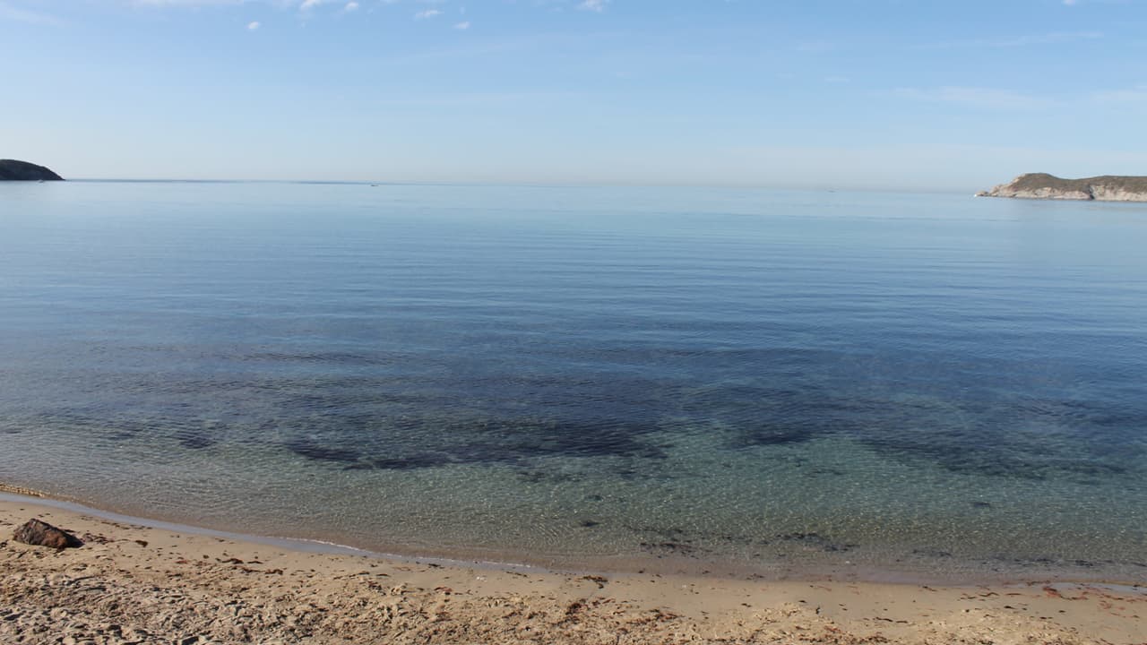 Existe una campaña para impulsar que San Carlos sea designado como Pueblo Mágico en Sonora bajo el tag #SanCarlosPuebloMágico.