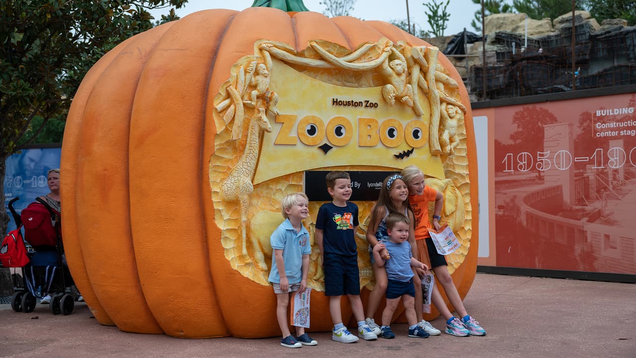 El zoológico promete a los visitantes hacerlos sentir una experiencia "emocionante y de escalofríos".
