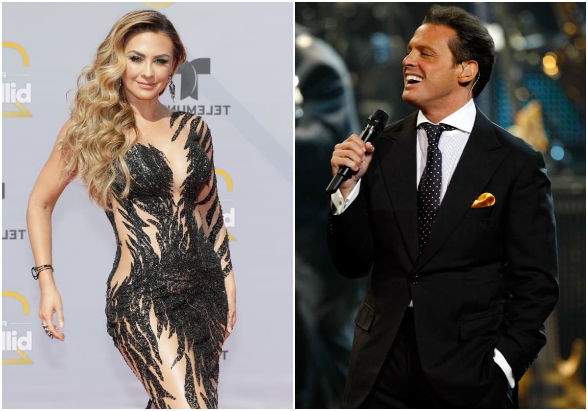“El tiempo no regresa”: el emotivo mensaje que Aracely le envió a Luis Miguel por sus hijos