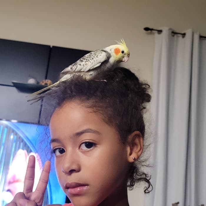 "Twitter, ella es la alegría de la casa", nos cuenta Adri Rodríguez.