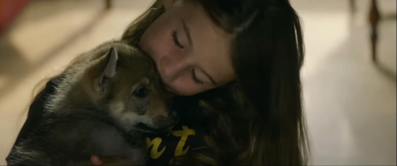 Películas de Netflix