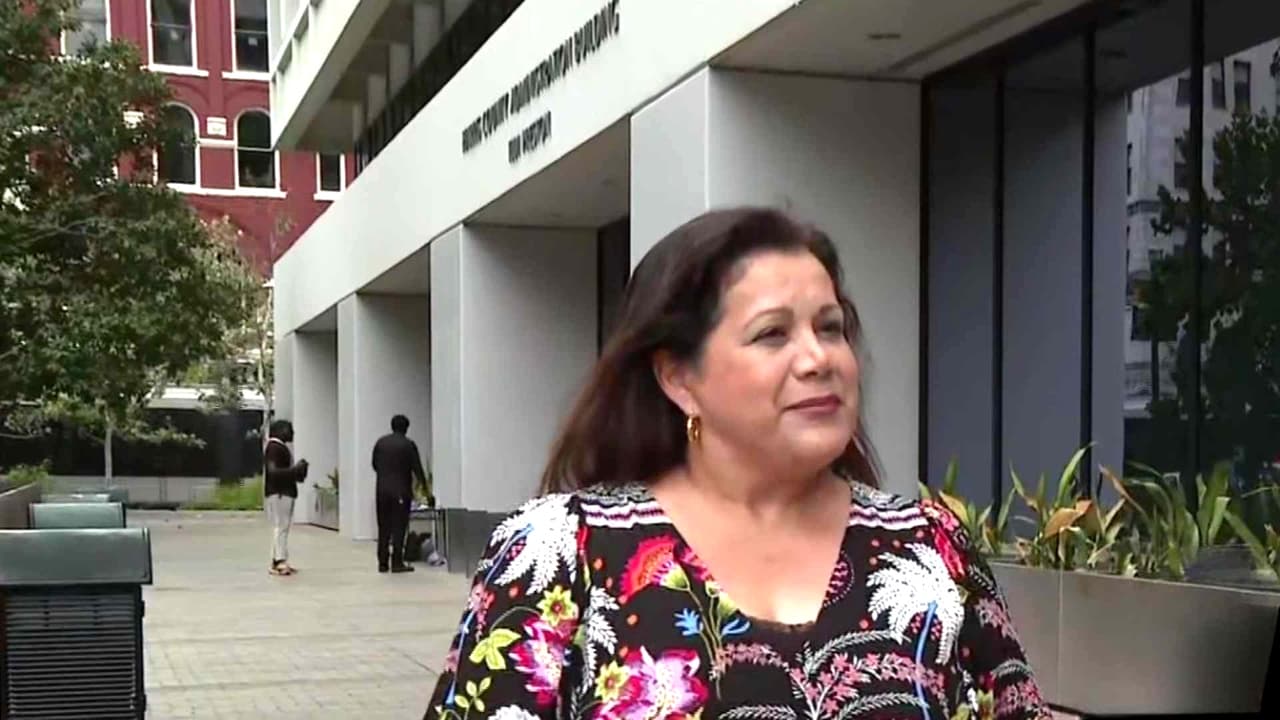 A una semana de las elecciones anticipadas: lo que debes saber si vives en el condado Harris