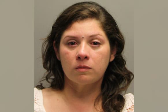 Una mujer enfrenta cargos por dejar a un perrito dentro de un auto expuesto a altas temperaturas