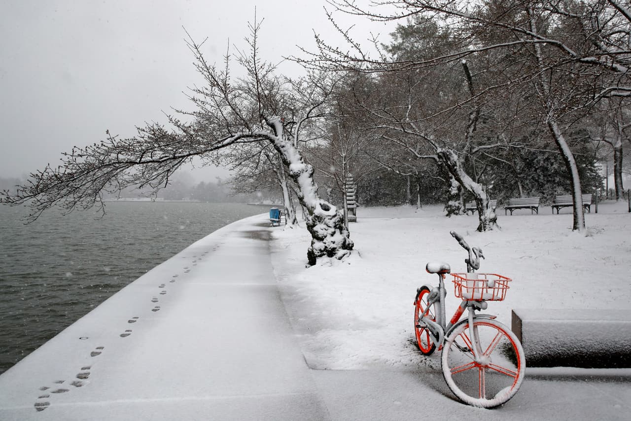 Washington probablemente recibirá 5 a 8 pulgadas de nieve, según pronósticos.
