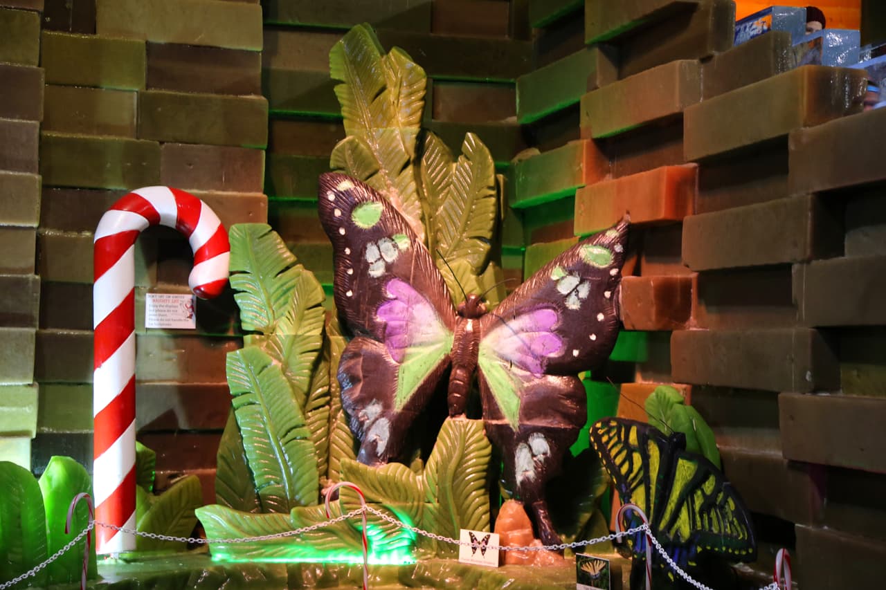 Las mariposas son las protagonistas en esta selva tropical de hielo.