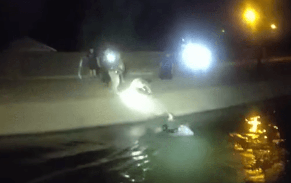 Llegó rápidamente hasta el 
<b>asustado perrito</b>.