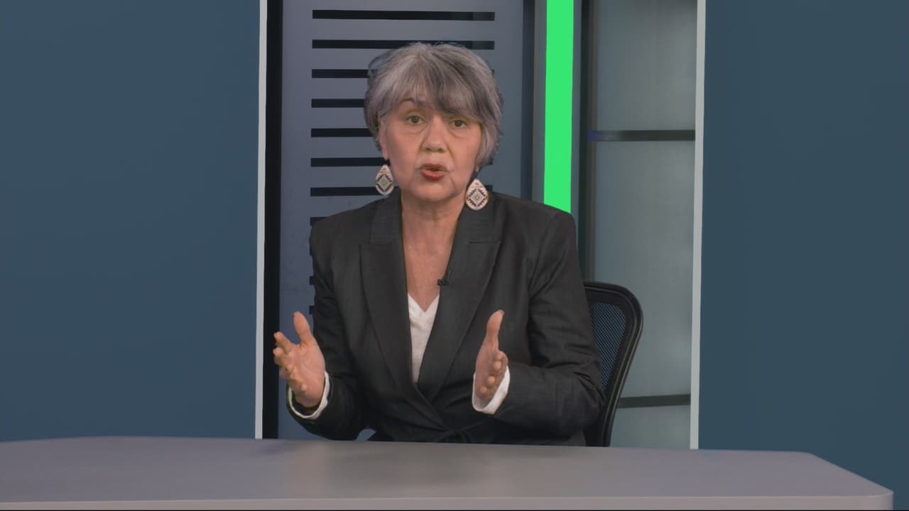 ¿Cómo se prepara el Partido Demócrata para las próximas elecciones en Arizona?