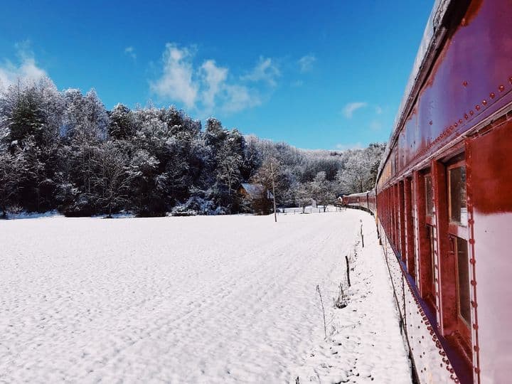 Encuentra más sobre la Tuckasegee River Excursion, 
<b><a href="https://www.gsmr.com/train-schedule/" target="_blank">aquí</a></b>.