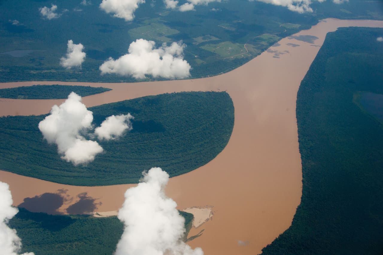 El amazonas es la selva tropical más grande del mundo. Sus más 2.3 millones de millas cuadradas de extensión se expanden a través de nueve países. En ella se encuentra un sinfín de biodiversidad de la cual aún se siguen descubriendo especies. Además de sufrir destrozos por actividades humanas como la tala y la contaminación, las severas sequías agravadas por el cambio climático destruyen gran parte de estos bosques y los dejan más susceptibles a incendios forestales.
