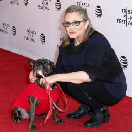 Carrie Fisher y su perro Gary, en el pasado Festival de Tribeca