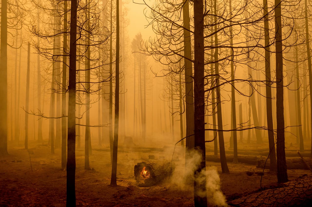 No se espera que los vientos alcancen la fuerza que tuvieron la semana pasada y que contribuyeron a extender las llamas. Pero siguen siendo una preocupación para los 
<a href="https://www.univision.com/temas/bomberos">bomberos</a> que soportan arduas condiciones en su misión de proteger miles de hogares amenazados.