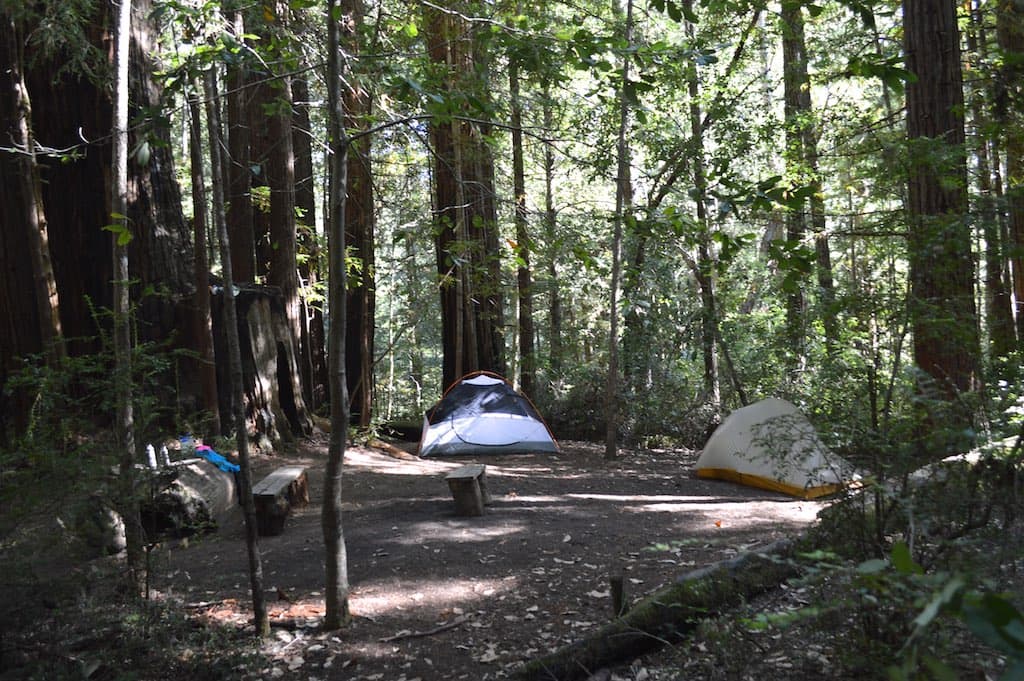 Para reservar un sitio para acampar en un parque natural de California, debes visitar la página
<a href="https://www.reservecalifornia.com/Web/Default.aspx" target="_blank">ReserveCalifornia.com.</a> Este es el sitio que opera las reservaciones del Departamento de Parques y Recreaciones del estado dorado.