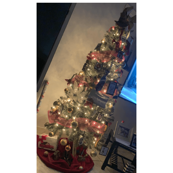 De igual manera, Alexa Irizarry compartió una foto de su árbol de Navidad de Harry Potter.
<br>"En esta imagen pueden ver un árbol de Navidad decorado con mucho amor y felicidad del tema de Harry Potter, ya que a nuestra familia le encanta", indicó.