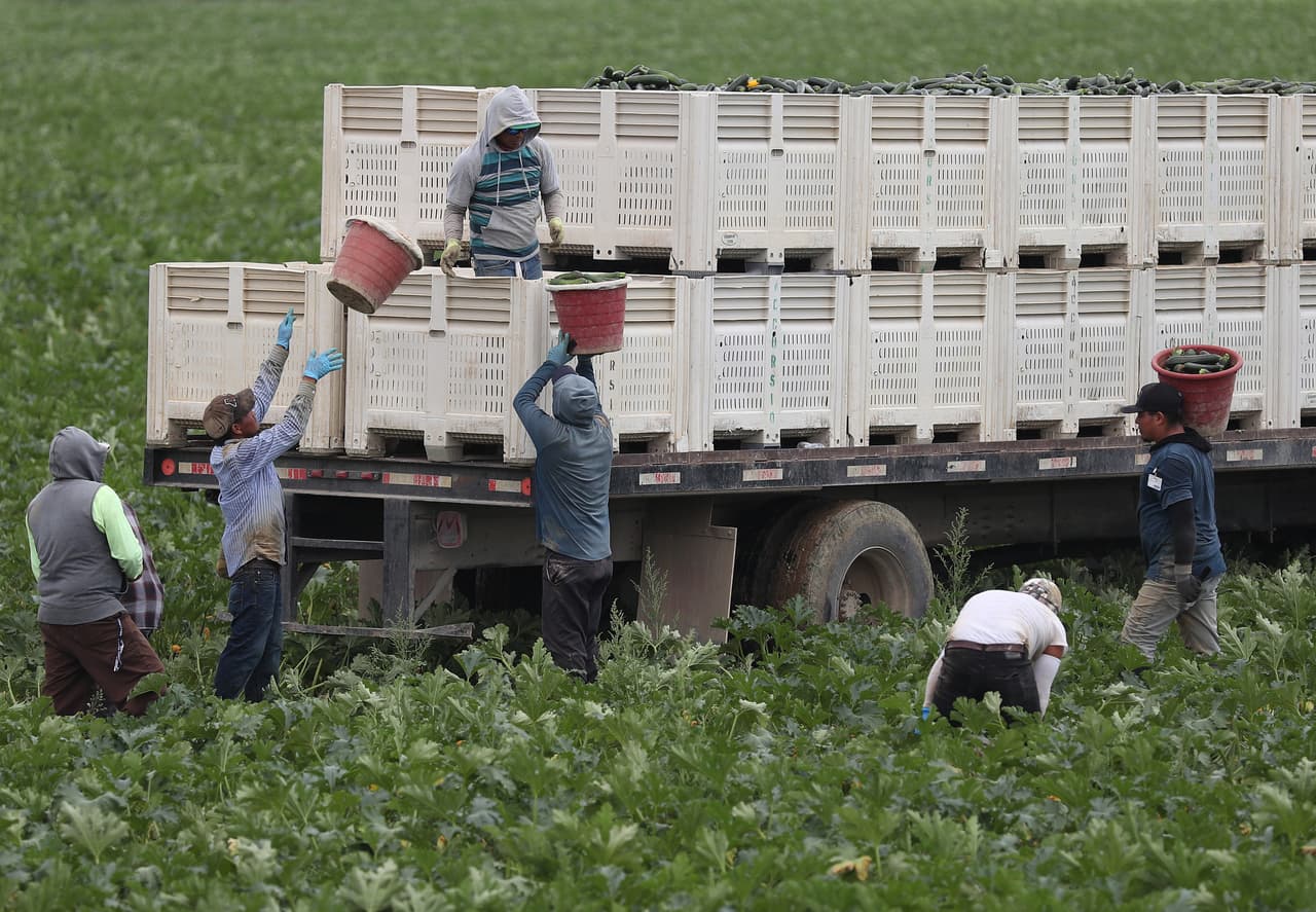 “Lo que ustedes están viendo es un incremento de casos en comunidades agrícolas, en el centro de la Florida y Palm Beach, porque allí hay muchos empleados trabajando juntos, sin distancia social”, dijo el gobernador días después, en un evento en la Universidad de Miami, el viernes 12 de junio.
