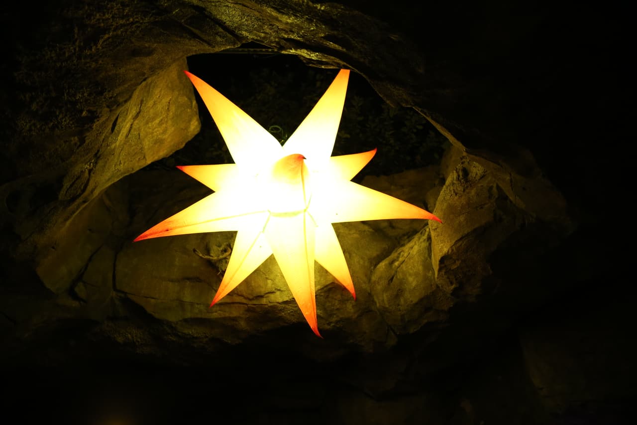 La cueva de los murciélagos fue decorada con deslumbrantes estrellas.