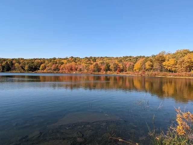 Otros como Swartswood, Round Valley y Washington Crossing también se encuentran en un buen momento para ser visitados.
