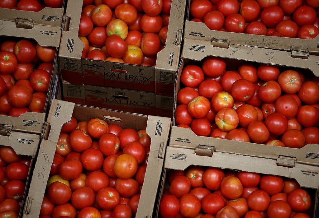Se estima que medio millón de personas podrían estar recibiendo este apoyo pero no están participando en este programa.