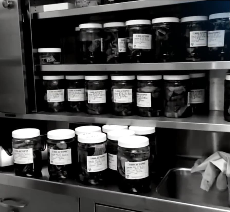 Ahora, estas evidencias 
<b>ya se encuentran en manos de los detectives</b> del departamento del alguacil de Los Ángeles. 
<br>