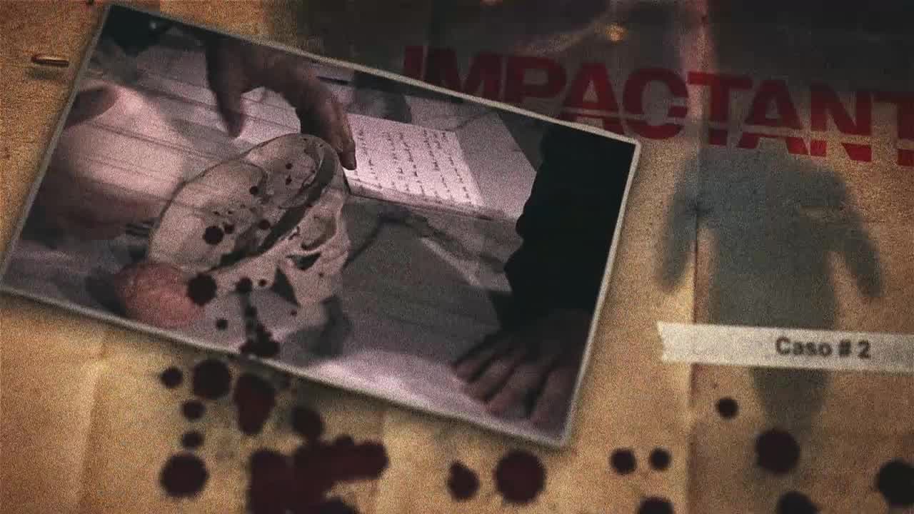 C.D.I. Archivos Abiertos: Fecha de estreno