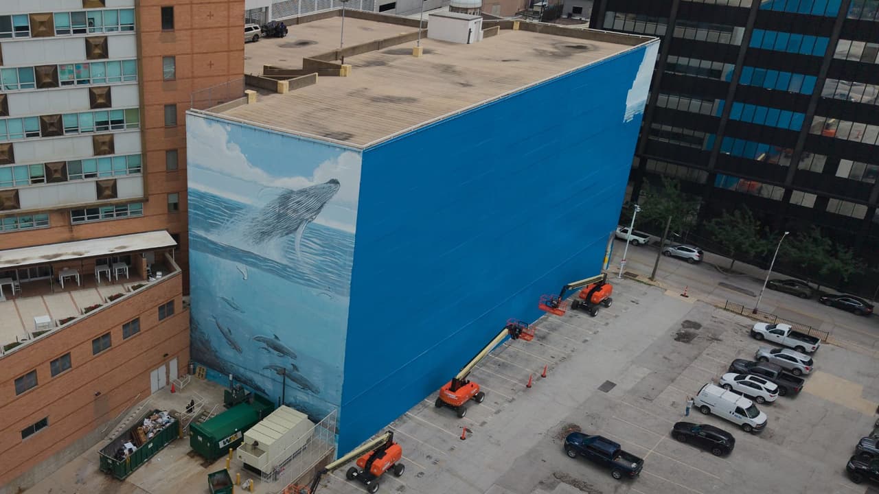 <h3 class="cms-H3-H3">Dallas cambia un mural de ballenas por una obra del Mundial</h3> Un mural de ballenas que durante años formó parte del paisaje del centro de Dallas 
<b>fue cubierto para dar espacio a una nueva obra vinculada con el Mundial.</b> 
<br>El cambio provocó críticas de residentes, un reclamo del artista Robert Wyland y 
<b>nuevas preguntas sobre la protección del arte público en la ciudad.</b>
<br>La obra, conocida como Ocean Life o Whaling Wall 82, estaba en 
<b>el edificio ubicado en 505 N. Akard St., en el centro de la ciudad</b>. 
<br>
<b>Fue pintada en 1999 por Wyland,</b> un artista y conservacionista reconocido por sus murales de vida marina. 
<br>
<a href="https://www.whatsapp.com/channel/0029VafZxTzGpLHXXhtL0Y3A" target="_blank">Únete a nuestro canal de WhatsApp: Haz clic aquí para estar al tanto de las últimas noticias e historias de tu comunidad</a>