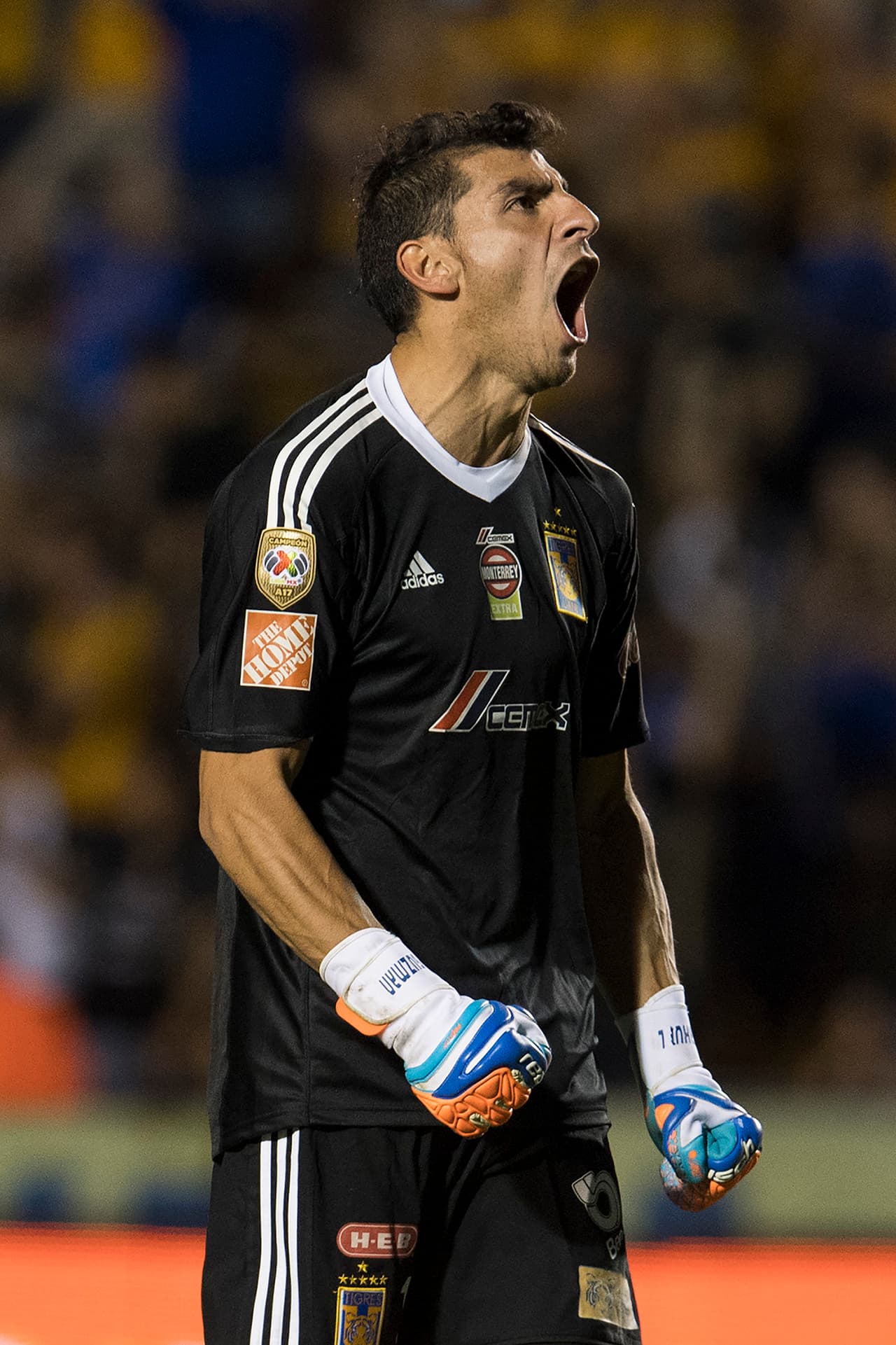 04 Tigres: 25 puntos producto de 7 victorias, 4 empates y 3 derrotas con 18 goles a favor y 11 en contra.