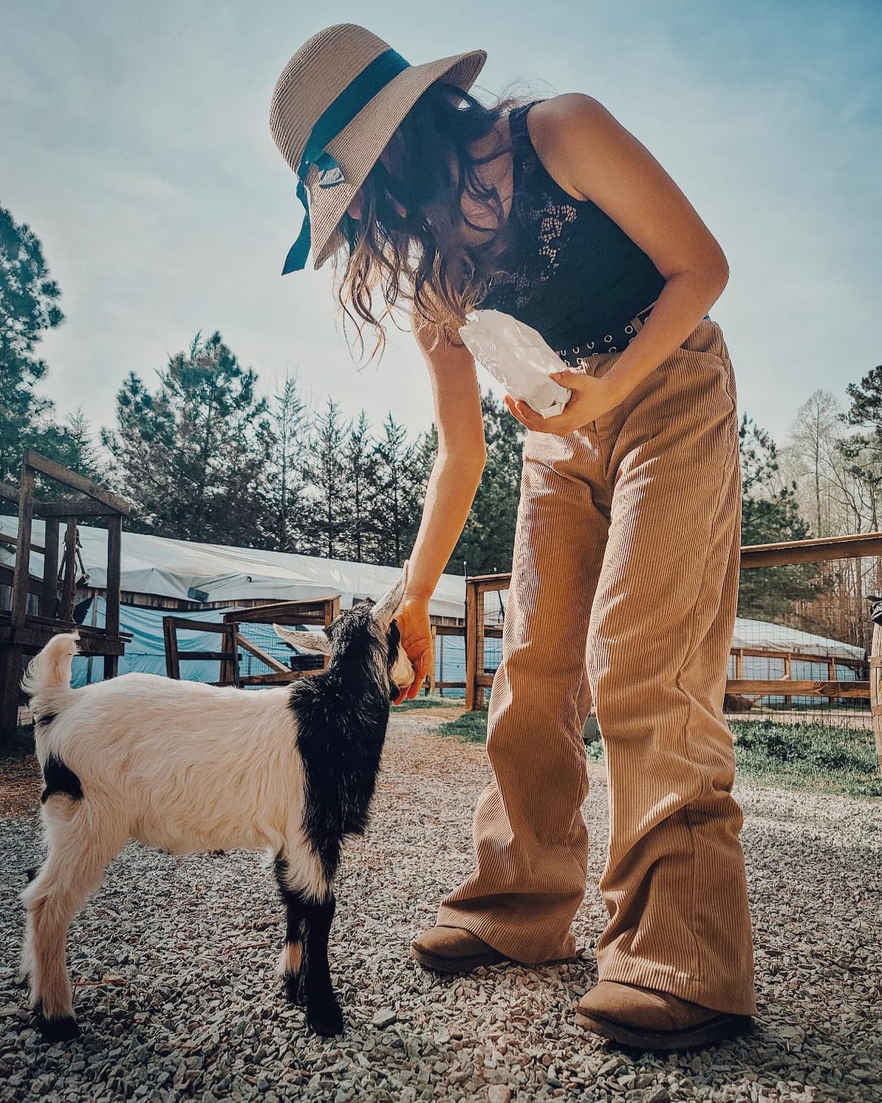 <b>Spring Haven Farm</b>
<br>Dirección: 5306 Homer Ruffin Rd, Chapel Hill, NC. 27516
<br>Teléfono: 919-407-1806
<br>Sitio web: 
<a href="https://www.springhaven.farm/">https://www.springhaven.farm/</a> 
<br>
<b><a href="https://goo.gl/maps/Tj8Jveda96n9ur8N6?coh=178573&entry=tt">Cómo llegar</a></b>
<br>
<br>Granja de animales en las que se puede visitar e interactuar con ellos.