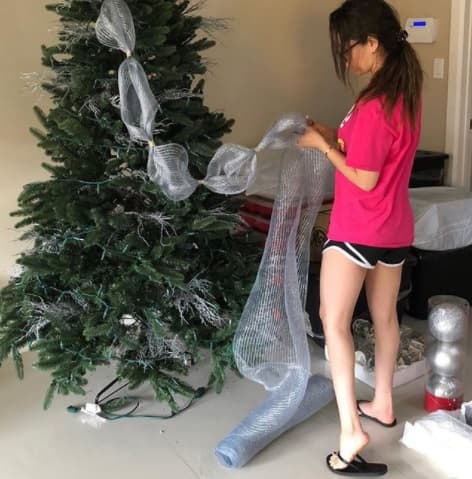 Rosy Mc Michael, estrella de YouTube, nos dejó entrar a la intimidad de su casa. Compartió una postal en la que la podemos ver decorando su pino.