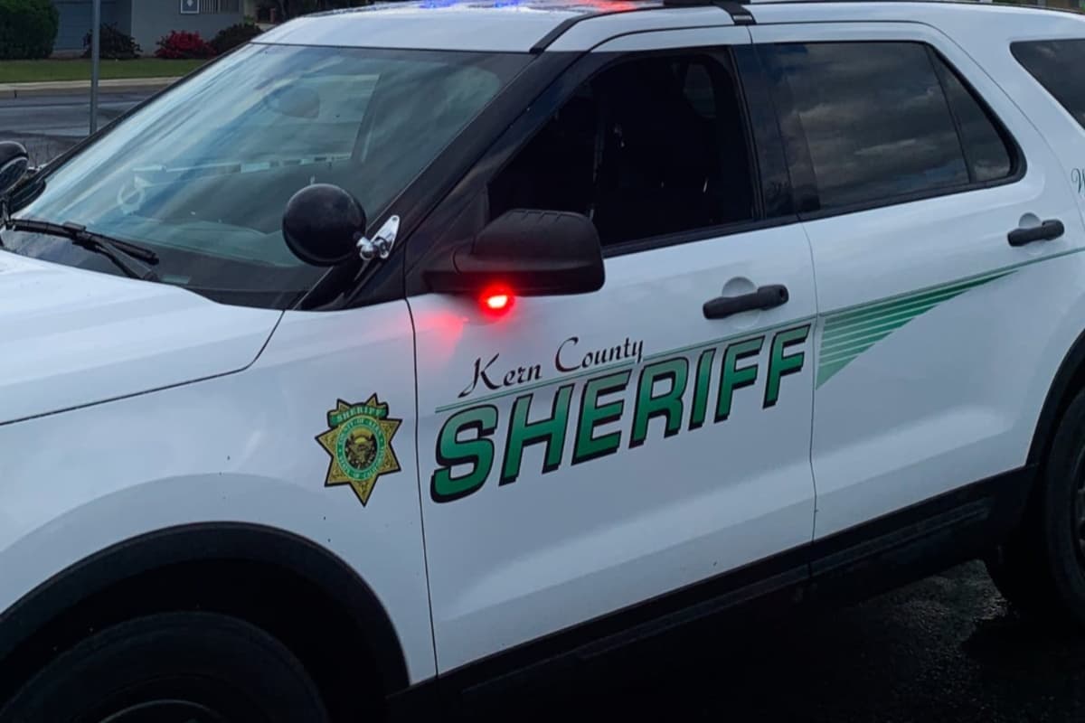 La Oficina del Sheriff del Condado de Kern descubrieron un terreno en el que estaban cultivando plantas de marihuana en la ciudad de Lebec.