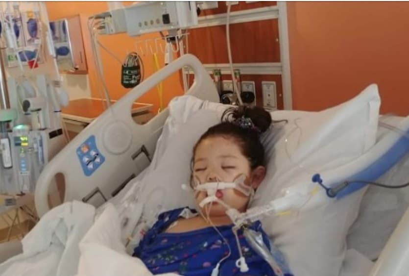 Pero luego Mia dejó de comer y sus padres decidieron llevarla de vuelta al hospital donde perdió la capacidad de hablar y de responder preguntas de los médicos.
<b>Fue entonces cuando sufrió otra convulsión febril de la que no se recuperó.</b>