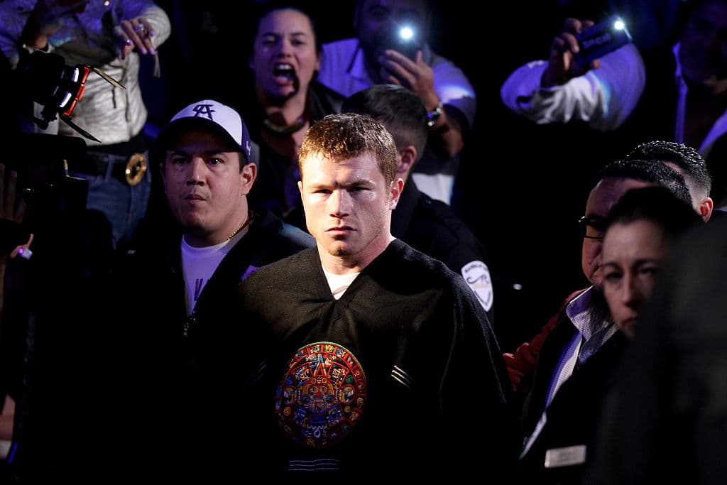 Debutó a los 15 años como profesional porque, según palabras de sus entrenadores, ya no había con quien más pelear como amateur. Lo hizo ante Abraham González el 29 de octubre del 2005. Ganó por nocaut técnico en el cuarto asalto.