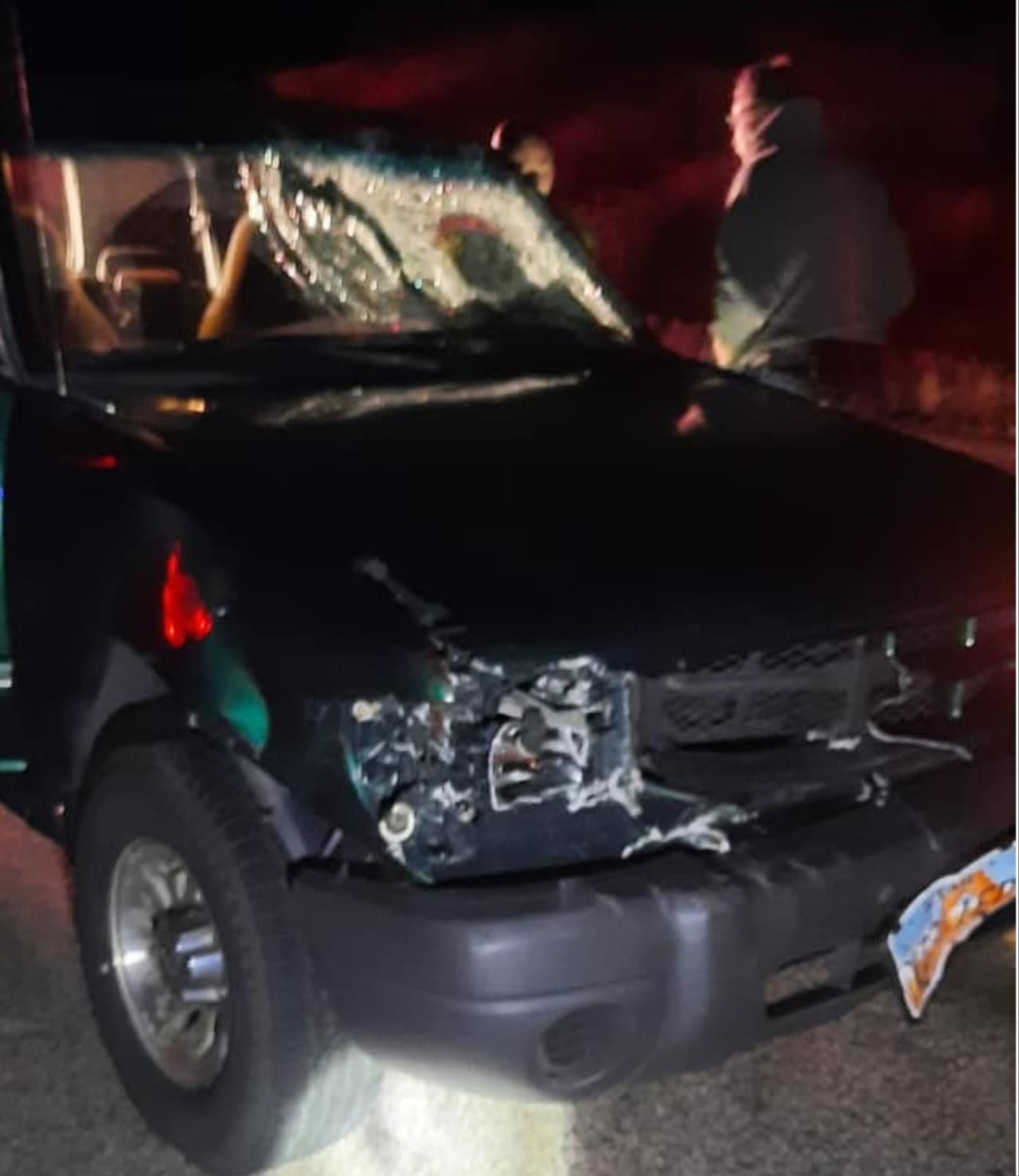 El conductor golpeó con su camioneta al alce que caminaba sobre la carretera, con el choque rompió el parabrisas, parte de la parrilla y faros.