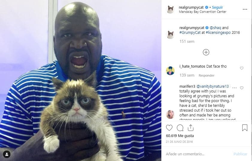 Personalidades del deporte también conocieron a la gatita, como por ejemplo el famoso exbasquetbolista 
<b><a href="https://www.instagram.com/p/BG71PaQE1Jy/">Shaquille O'Neal</a></b>
<a href="https://www.instagram.com/p/BG71PaQE1Jy/">.</a>
