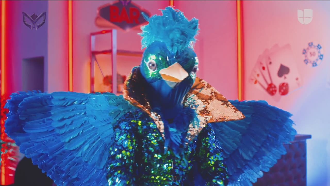 El juego de la ruleta determinó que el segundo duelo de la noche estuviera encabezado por Quetzal y Disco Ball.