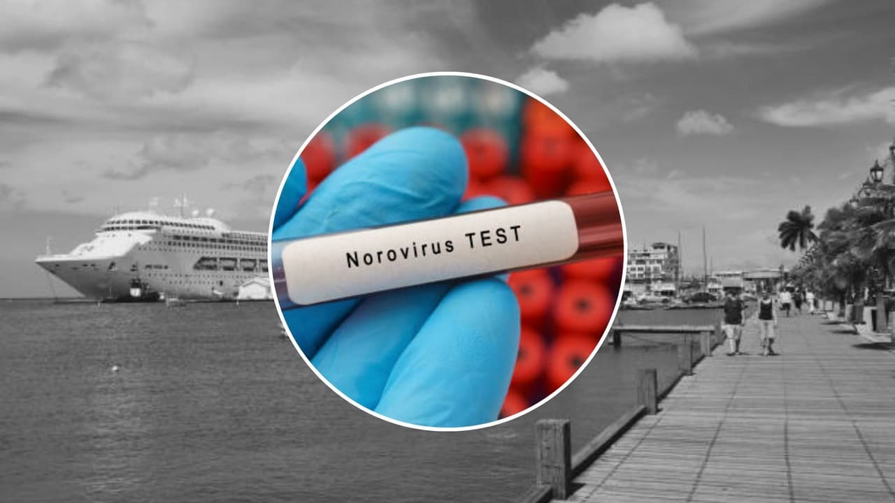 Crucero regresa a Florida con más de 100 enfermos por norovirus