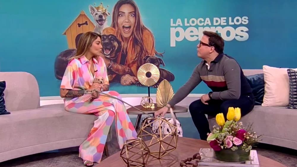 ‘La Loca de los Perros’ cuenta cómo comenzó su pasión por rescatar animales abandonados