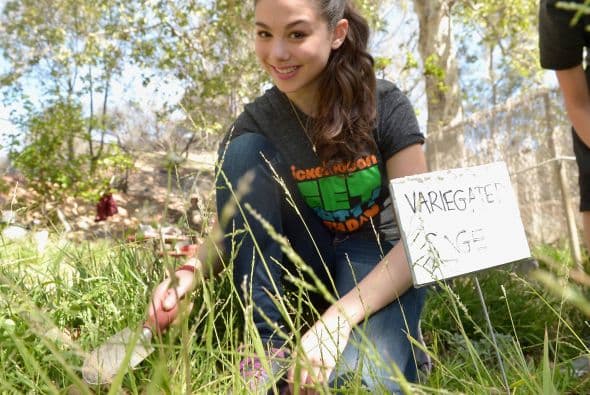 Famosos, voluntarios y hasta las Tortugas Ninja se divirtieron a lo máximo durante la fiesta rural "Get Dirty" en el Zoológico de Los Ángeles. El evento les permitió a los participantes un día repleto de actividades junto a los animalitos. Asimismo, la diversión tuvo un enfoque en la conservación del medio ambiente.
