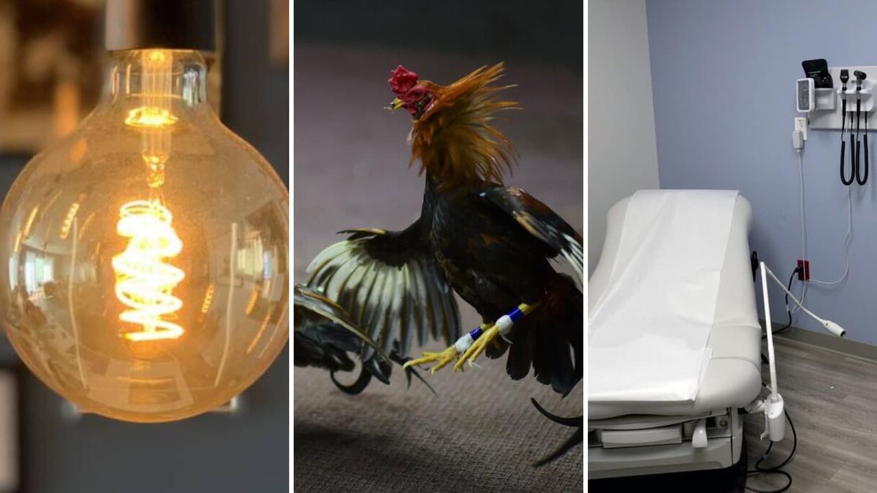 Costos de la electricidad, aborto, niños transgénero: 5 iniciativas de ley presentadas en Georgia