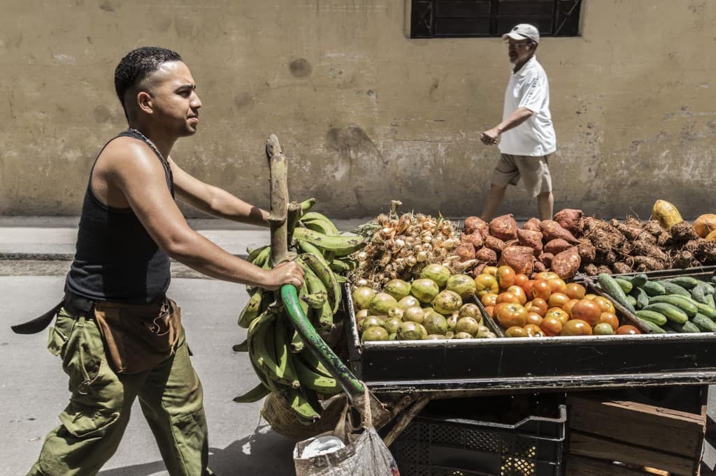 En el 2010 el estado cubano aprobó una lista de actividades para el trabajo por cuenta propia, como los carretilleros.
