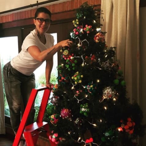 Alejandra Guzmán no acostumbra compartir momentos privados en sus redes sociales pero en esta ocasión publicó el proceso de decoración de su hogar.