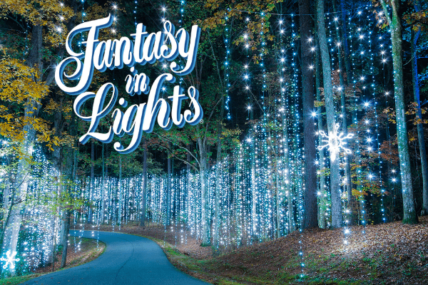 <b><a href="https://www.callawaygardens.com/?utm_source=local&utm_medium=organic&utm_campaign=website_link" target="_blank">Callaway Gardens</a> </b>alberga el mayor espectáculo navideño. Aquí puedes divertirte en Christmas Village, conocer personajes navideños y pasear por el bosque.