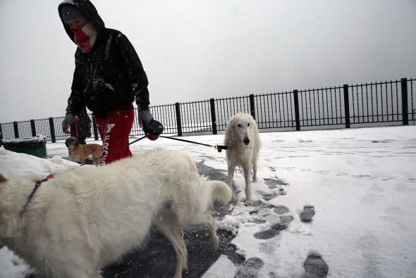 No deje a sus mascotas en la intemperie, busque un lugar caliente en donde estas puedan resguardarse.
<br>