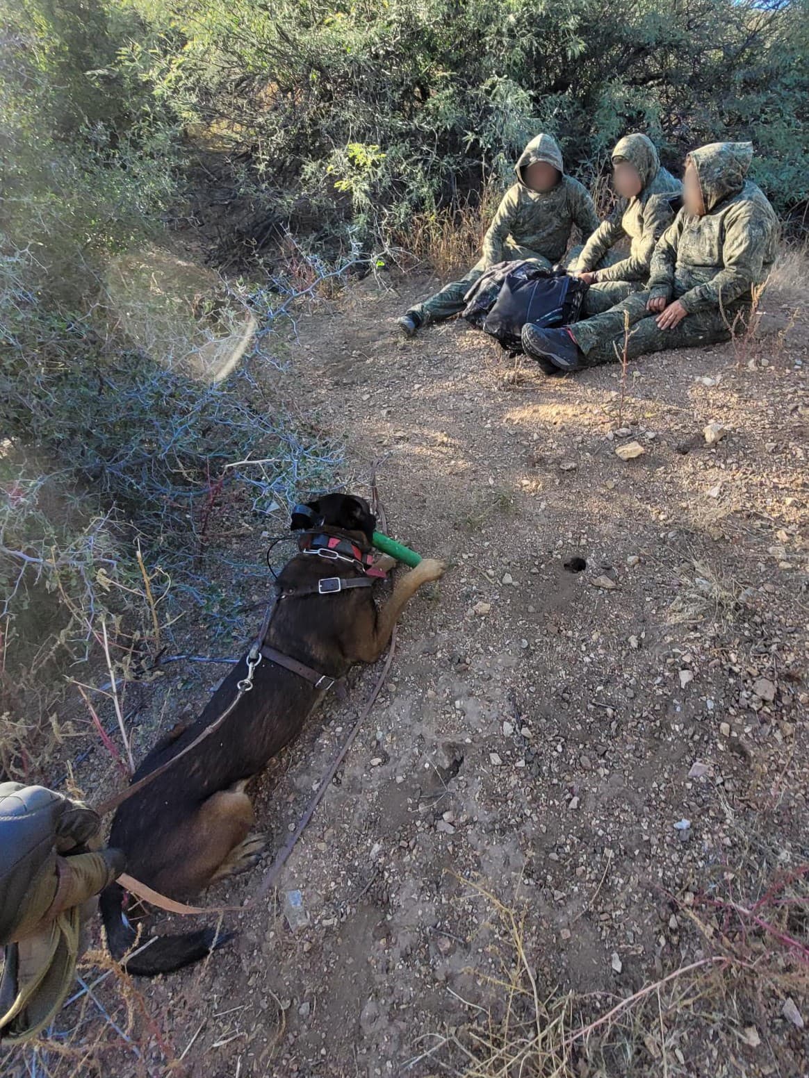 Un agente canino entrenado de la estación de Douglas logró el arresto de tres ciudadanos mexicanos cerca de Douglas la semana pasada.