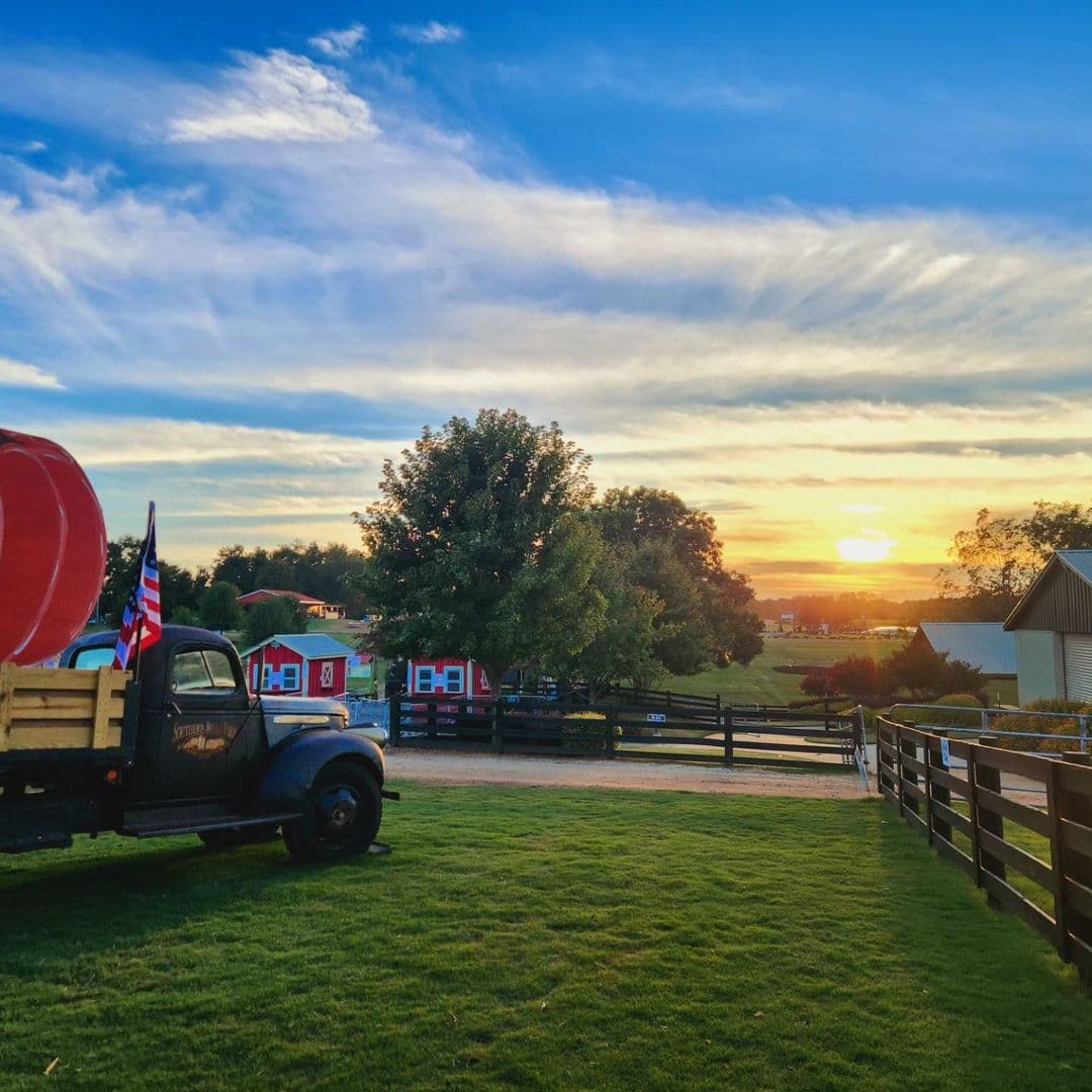 <b>Southern Belle Farm (McDonough)</b>
<br>
<b>Sitio web</b>: 
<a href="https://www.southernbellefarm.com/">https://www.southernbellefarm.com/</a> 
<br>
<b><a href="https://maps.app.goo.gl/xE5hj6Kkx1JDbDw38">Cómo llegar</a> </b>
<br>
<br>Southern Belle Farm está ubicada en McDonough y celebra el otoño a lo grande con un laberinto de maíz de cuatro acres, un huerto de calabazas y atracciones al aire libre.