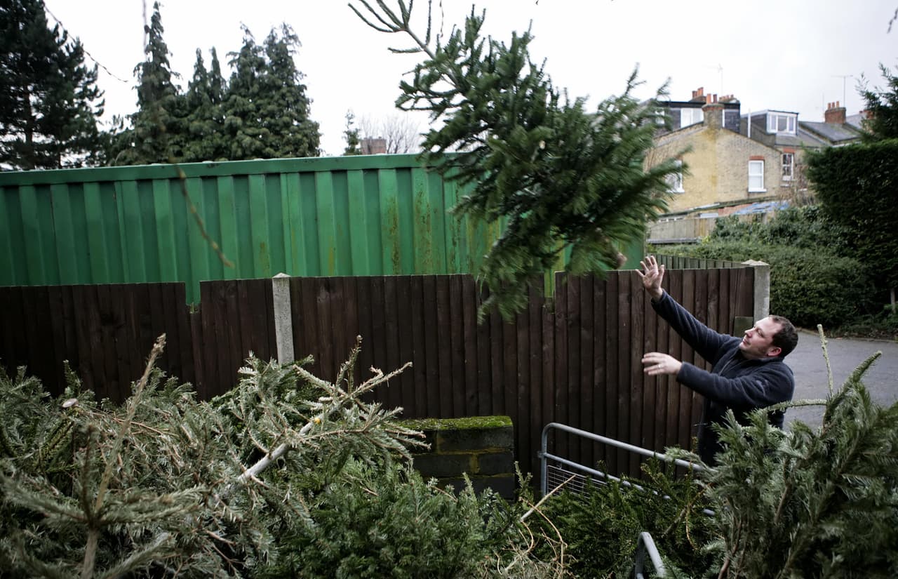 <b>Sur de Phoenix</b>
<br>- El Reposo Park - Seventh St. and Alta Vista Rd.
<br>- Mountain Vista Park - 50th St. just north of Ray Rd.
<br>- Desert Foothills Park - Desert Foothills and Chandler Blvd.
<br>- Cesar Chavez Park - 35th Ave. and Baseline Rd.
<br>- 27th Avenue Transfer Station - 3060 S. 27th Ave.
<br>Más información: 
<a href="https://www.phoenix.gov/publicworks/christmastrees" target="_blank">www.phoenix.gov</a>