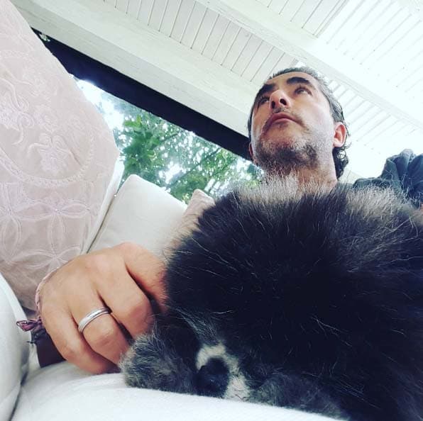 Las mascotas son la mejor compañía.